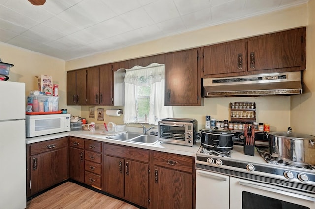 kitchen featuring a toaster, under cabinet range hood, white appliances, a sink, and light countertops