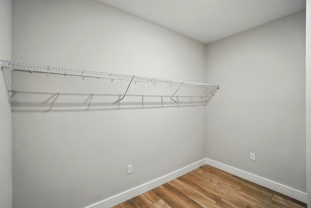 spacious closet featuring wood finished floors