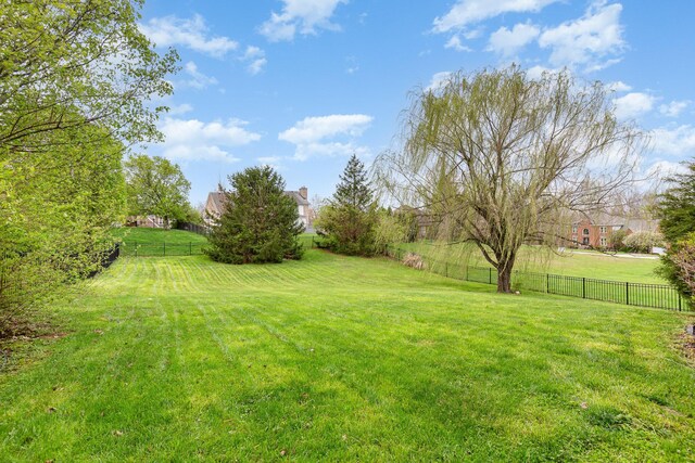 2600 Sunningdale Pl E, La Grange, KY 40031 - view of yard
