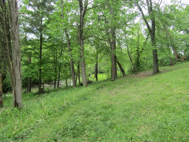2762 8 Mile Rd, Melbourne, KY 41059 - photo 21
