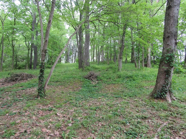 2762 8 Mile Rd, Melbourne, KY 41059 - photo 22