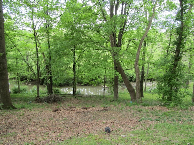 2762 8 Mile Rd, Melbourne, KY 41059 - photo 23