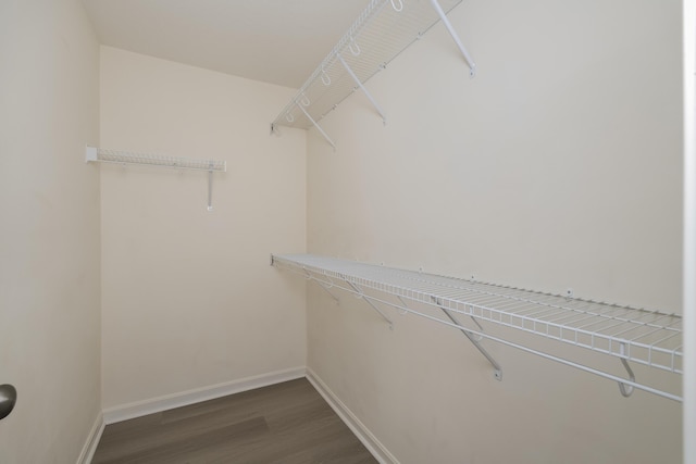 2387 Ambrato Way Unit 2-307, Covington, KY 41017 - spacious closet featuring dark wood finished floors