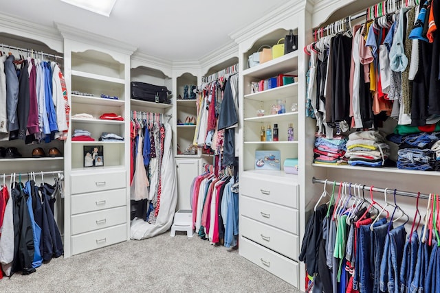 214 Clifton Ave, Newport, KY 41071 - walk in closet featuring carpet