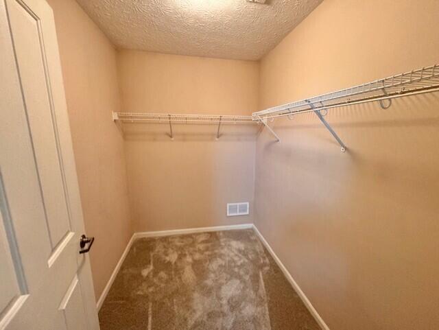 walk in closet with carpet floors