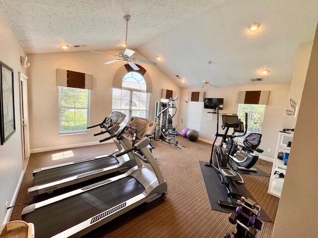 exercise room with a ceiling fan, baseboards, lofted ceiling, carpet flooring, and a textured ceiling
