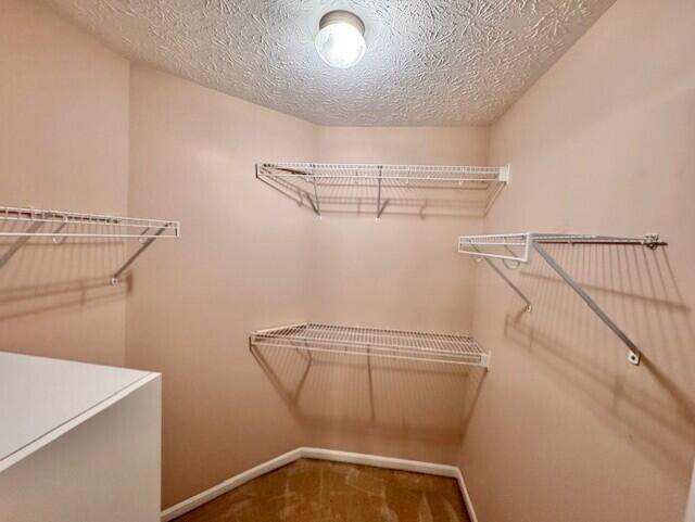 walk in closet featuring carpet floors
