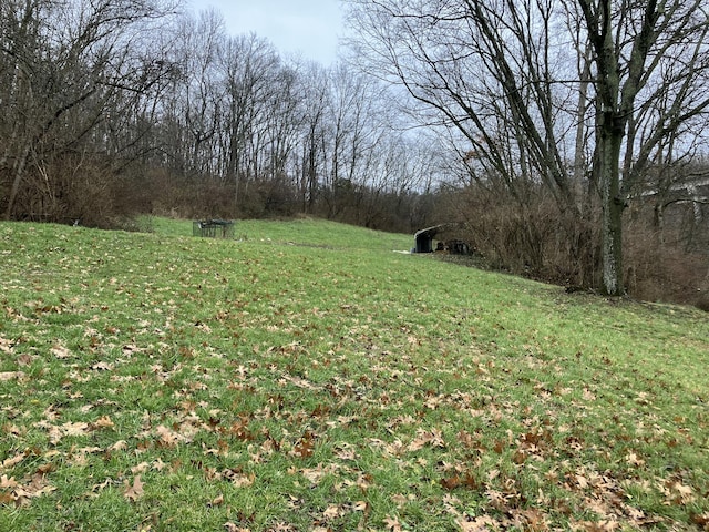 4910 Fowler Creek Rd, Covington, KY 41017 - view of grassy yard featuring a forest view