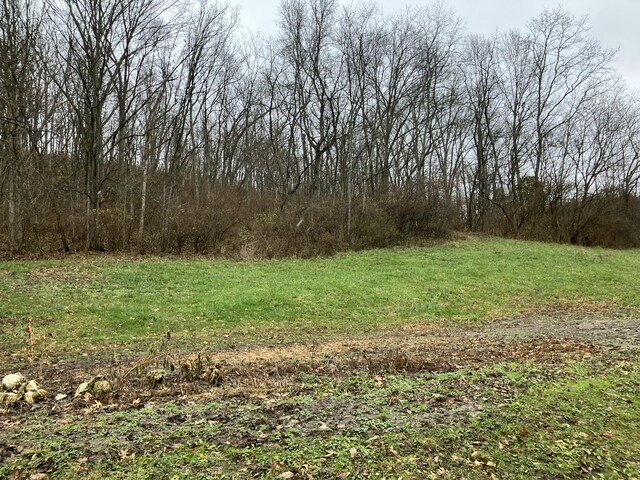 4910 Fowler Creek Rd, Covington, KY 41017 - view of undeveloped land