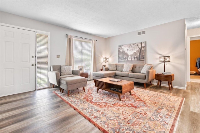 living room featuring wood finished floors, healthy amount of natural light, a textured ceiling, and baseboards