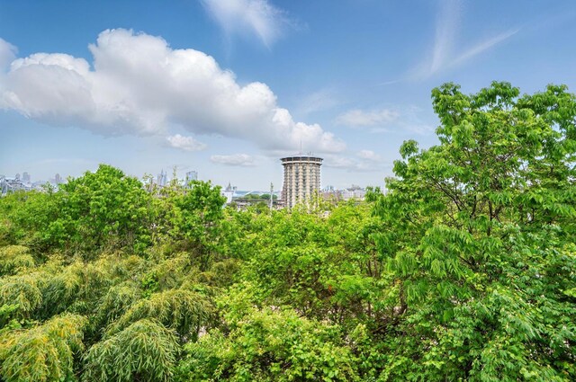 516 Western Ave, Covington, KY 41011 - view of local wilderness
