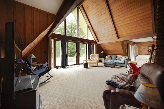 living area featuring wooden walls and carpet