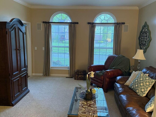582 Savannah Dr, Walton, KY 41094 - photo 25