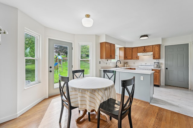 dining room featuring light wood finished floors and baseboards