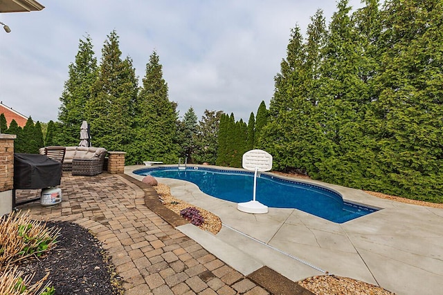 2282 Treetop Ln, Hebron, KY 41048 - swimming pool with a patio and a diving board