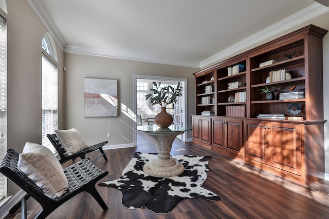 office featuring ornamental molding, dark wood-type flooring, and baseboards