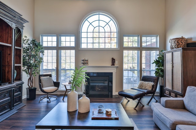 living area with a high ceiling, dark wood-type flooring, and a glass covered fireplace