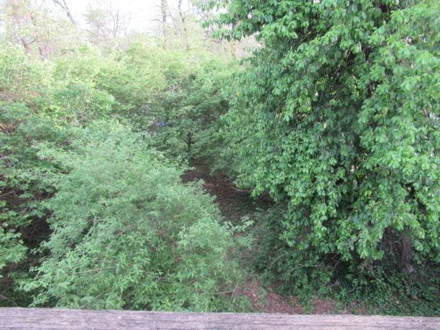 1101 Plateau St, Elsmere, KY 41018 - view of local wilderness