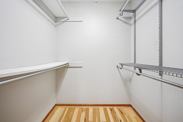 spacious closet featuring wood finished floors