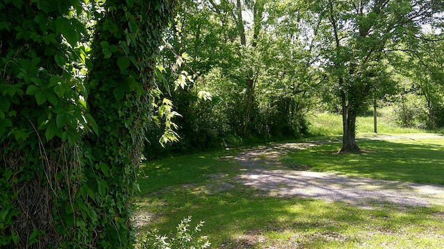5963 Hwy 36 E, Sanders, KY 41083