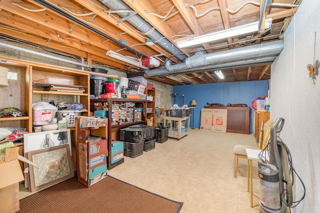 unfinished basement featuring carpet flooring