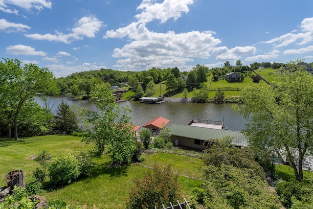 335 Fernwood Dr, Williamstown, KY 41097 - drone / aerial view of a nearby body of water