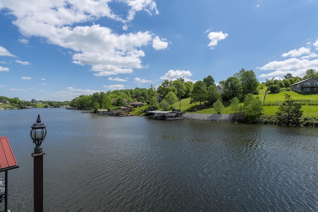 335 Fernwood Dr, Williamstown, KY 41097 - water view with fence