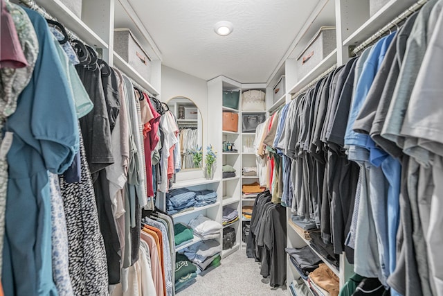 2263 Piazza Rdg, Covington, KY 41017 - spacious closet with carpet floors