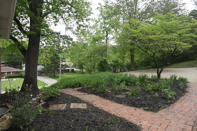 529 Stevenson Rd, Erlanger, KY 41018 - view of yard