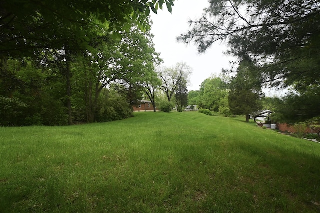 529 Stevenson Rd, Erlanger, KY 41018 - view of yard