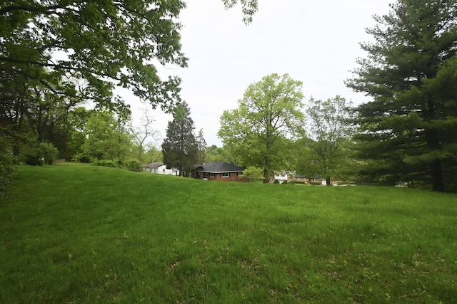 529 Stevenson Rd, Erlanger, KY 41018 - view of yard