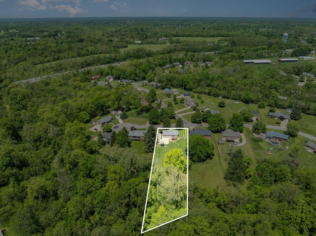 37 Pinhook Pl, Crittenden, KY 41030 - aerial overview of property's location featuring a forest and property boundaries highlighted