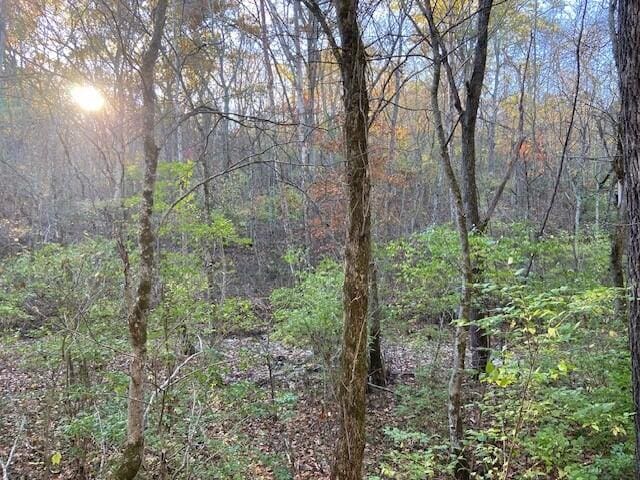 320 Old Carntown Rd, Foster, KY 41043