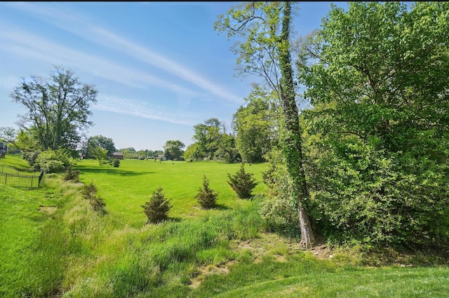 8042 Arcadia Blvd, Alexandria, KY 41001 - view of undeveloped land