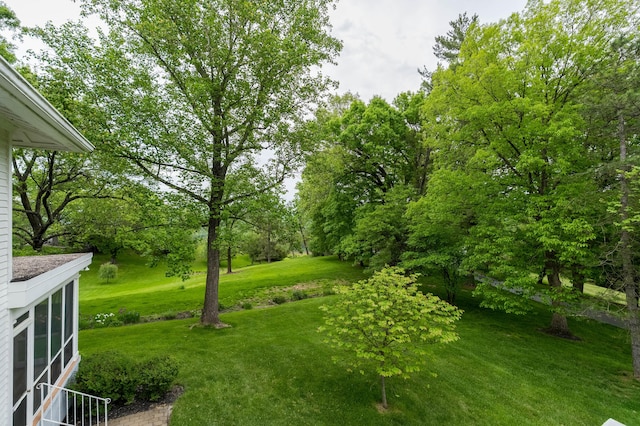 32 S Shaw Ln, Fort Thomas, KY 41075 - view of grassy yard featuring view of wooded area