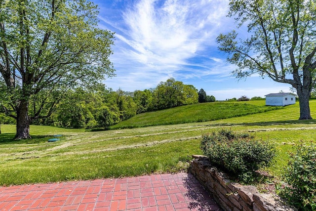 view of green lawn