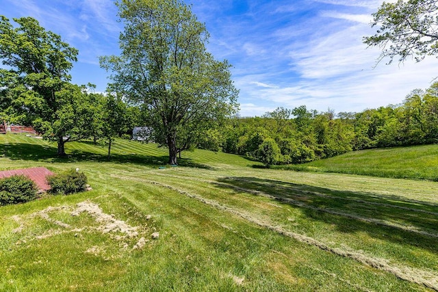 view of grassy yard