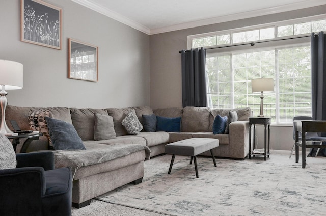 carpeted living room with crown molding and plenty of natural light