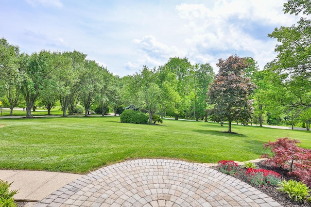9015 Washington Trace Rd, California, KY 41007 - surrounding community featuring a yard
