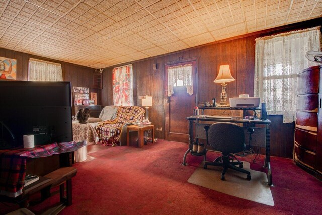 office featuring wood walls and carpet floors