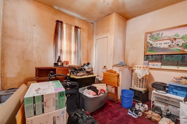 miscellaneous room featuring carpet floors