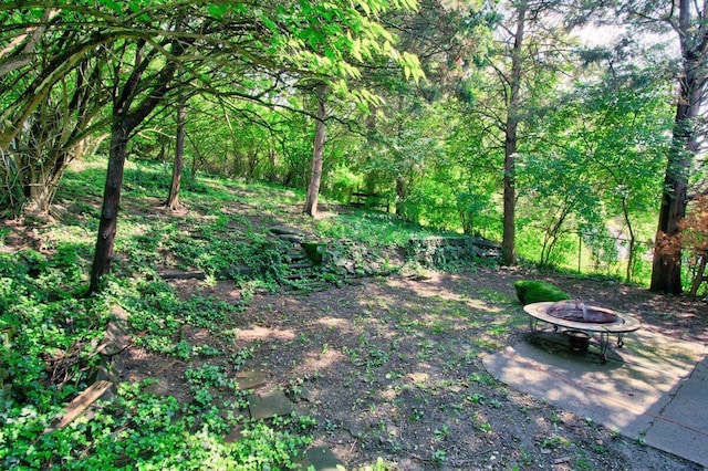 view of yard featuring a fire pit