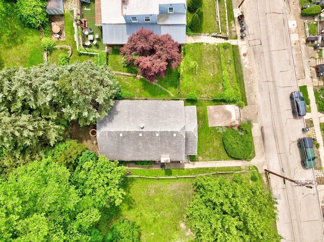drone / aerial view