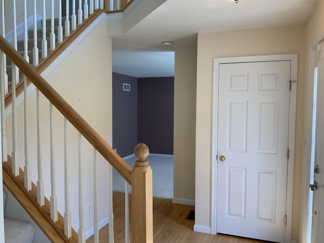 6176 Conservatory Ct, Burlington, KY 41005 - photo 8