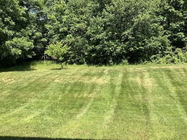 6176 Conservatory Ct, Burlington, KY 41005 - photo 17