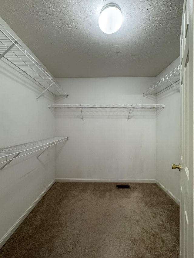 spacious closet featuring carpet