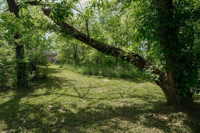 00000 Lenoxburg Rd, Falmouth, KY 41040
