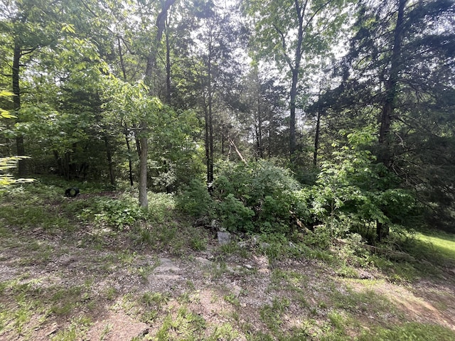 247 Hideaway, Owenton, KY 40359 - view of woods
