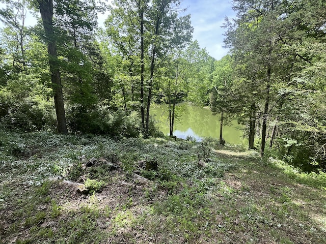 247 Hideaway, Owenton, KY 40359 - view of tree filled area with a water view