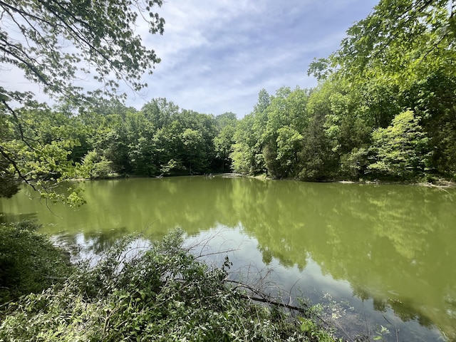 247 Hideaway, Owenton, KY 40359 - water view with a heavily wooded area